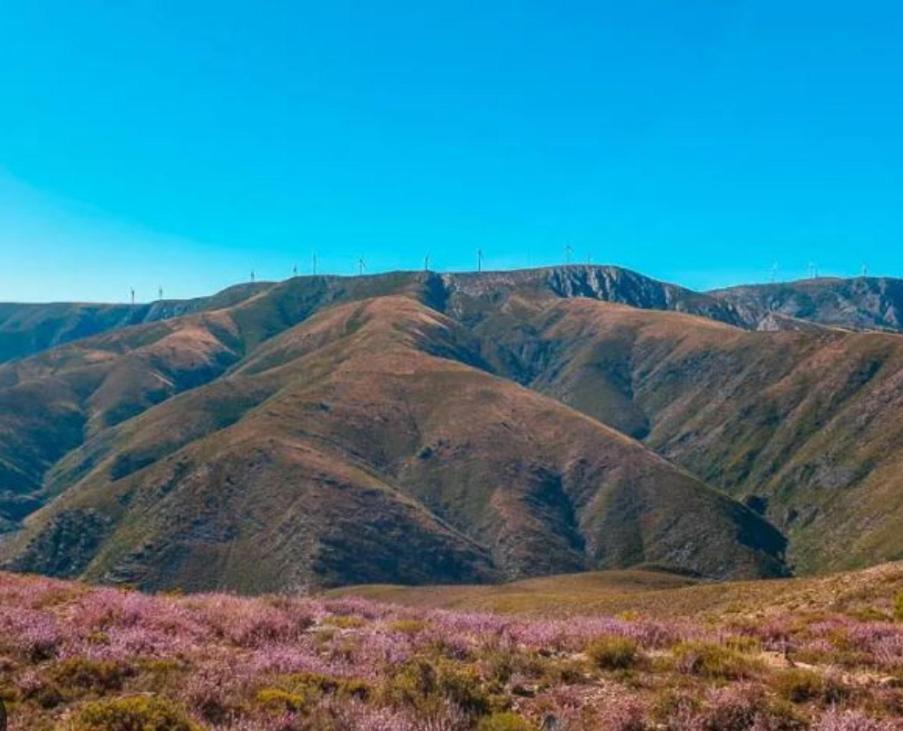 Casa Tia Vina - Serra Arouca Buitenkant foto
